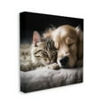 thumbnail image 4 of Stupell Industries Cat & Dog Photography Animals & Insects Photography Gallery Wrapped Canvas Art Print Wall Art, 17 x 17, 4 of 8