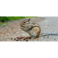 thumbnail image 5 of CRITTR MUNCH BIRDSEED10# (Pack of 1), 5 of 5