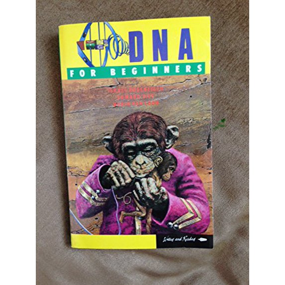 Pre-Owned DNA for Beginners (Paperback) 0863160239 9780863160233