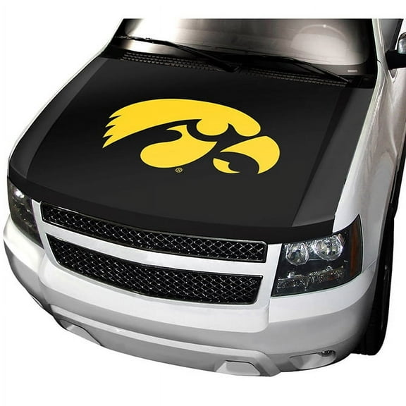 University of Iowa Hawkeyes Auto Hood Cover, One Size, One Color