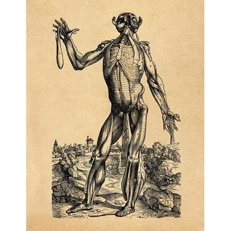 Anatomy Notebook: Andreas Vesalius - Skinless Man Muscles 06 - Premium College Ruled Notebook 110 Pages (Best Muscle Anatomy App For Android)