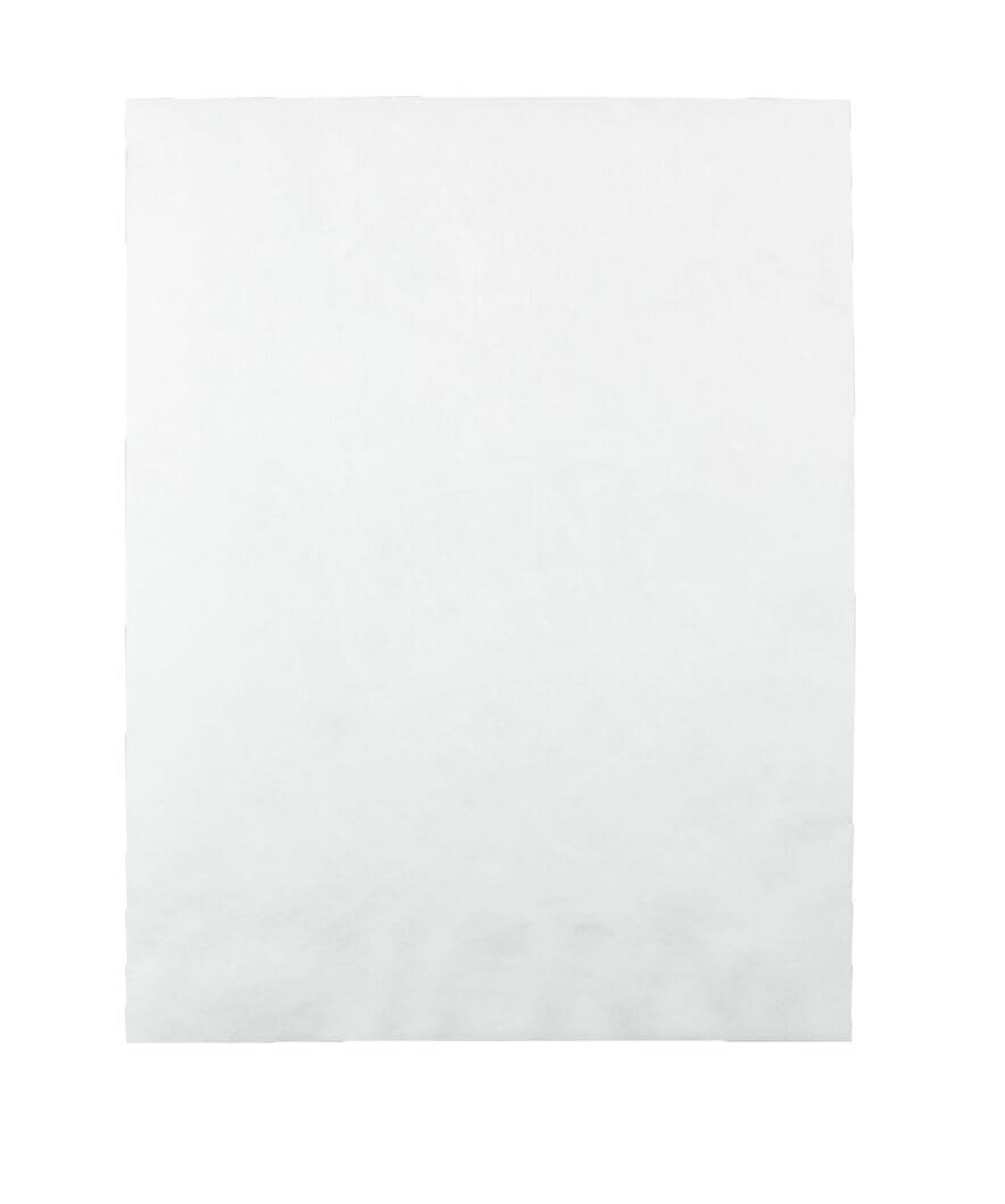 Survivor Shipping Envelopes, 10" x 13", Made with Strong, Lightweight Tyvek Material, Flap-Stik Peel and Seal Closure, 50/Box (QUAR1582)
