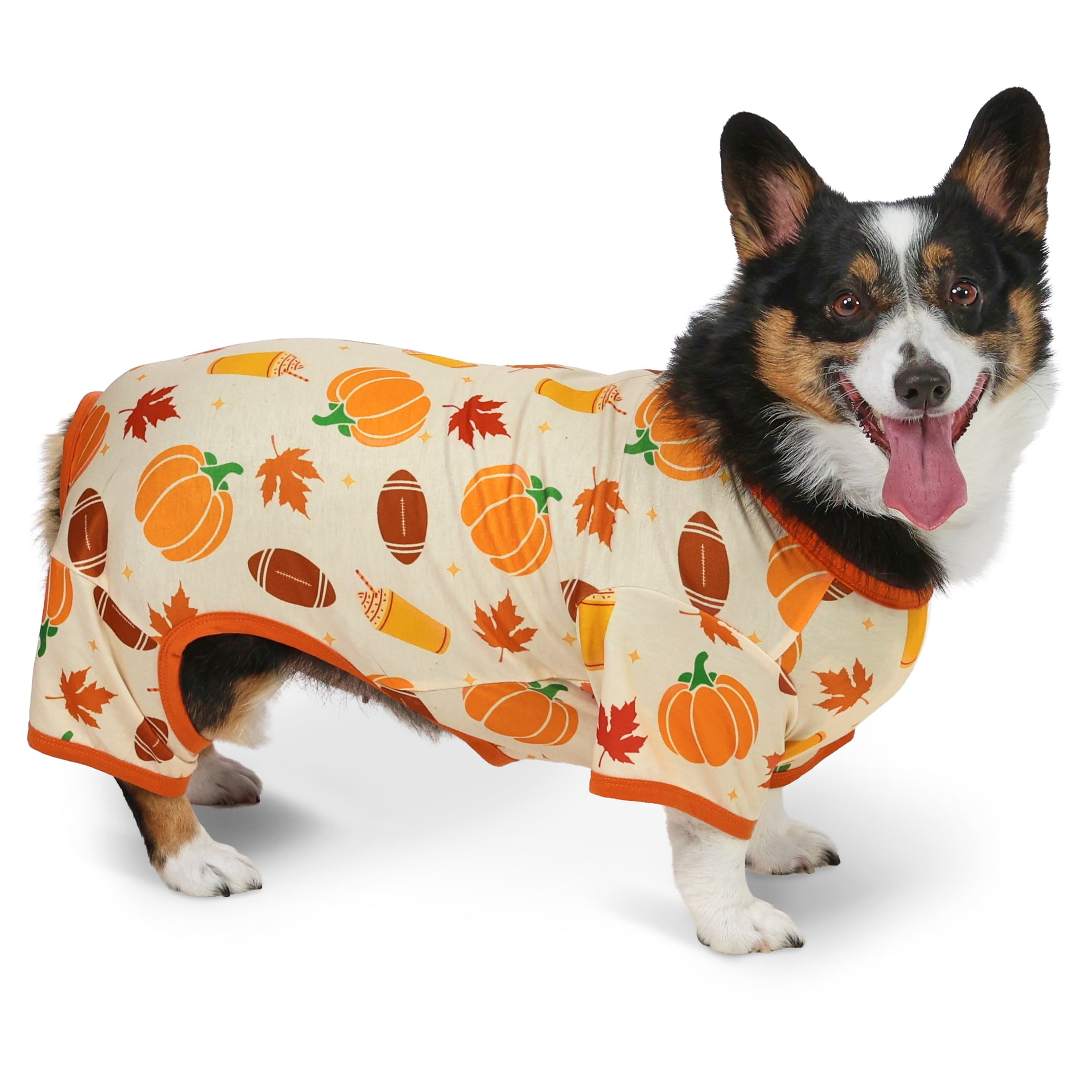 Vibrant Life Halloween Pajamas for Dogs, Pumpkins and Leaves, Orange, M