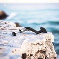 thumbnail image 2 of Metal Fishing Reel Handle Folding Rocking Reel Building Accessories, 2 of 10