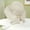 Beige, variant on Sun Hats for Women Packable Wide Brim Beach Straw Hat Foldable Cloche Bucket Summer Vacation Outdoor Cap with Ribbon Bowknot