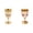 C*1+D*1, variant on Metal Chalice Goblet Shot Glasses with Engraving Rose Design, Medieval Drinkware Wine Cup for Wedding Decor and Liquor, Vintage Style, 2 Pcs
