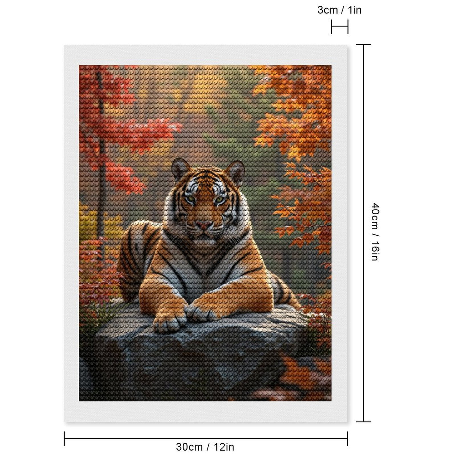 Diamond Art Kit for Adults, Tiger Autumn Serenity On Rock Diamond Painting for Adults Beginners, 5D DIY Diamond Art Painting Kits, Colorful Diamond Painting Craft for Home Decor 12x16