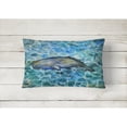 thumbnail image 2 of Carolines Treasures BB5338PW1216 Sperm Whale Cachalot Canvas Fabric Decorative Pillow  12H x16W multicolor, 2 of 3