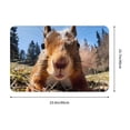 thumbnail image 3 of Daiia Close-Up Curious Squirrel Front Door Mat, Heavy Duty Durable Welcome Mat for Outdoor Indoor, Dirt Trapper Waterproof Super Absorbent Door Mat, 16" x 24", 3 of 9