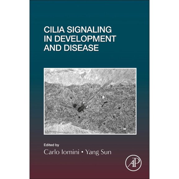 Current Topics in Developmental Biology Cilia Signaling in Development and Disease: Volume 155, Book 155, (Hardcover)
