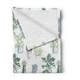 thumbnail image 2 of Cactus Soft Flannel Fleece Blanket, Mexican Local Flora Succulents Indigenous Foliage in Flower Pots Domestic Flora Art, Cozy Plush for Indoor and Outdoor Use, 60" x 80", Multicolor, by Ambesonne, 2 of 5
