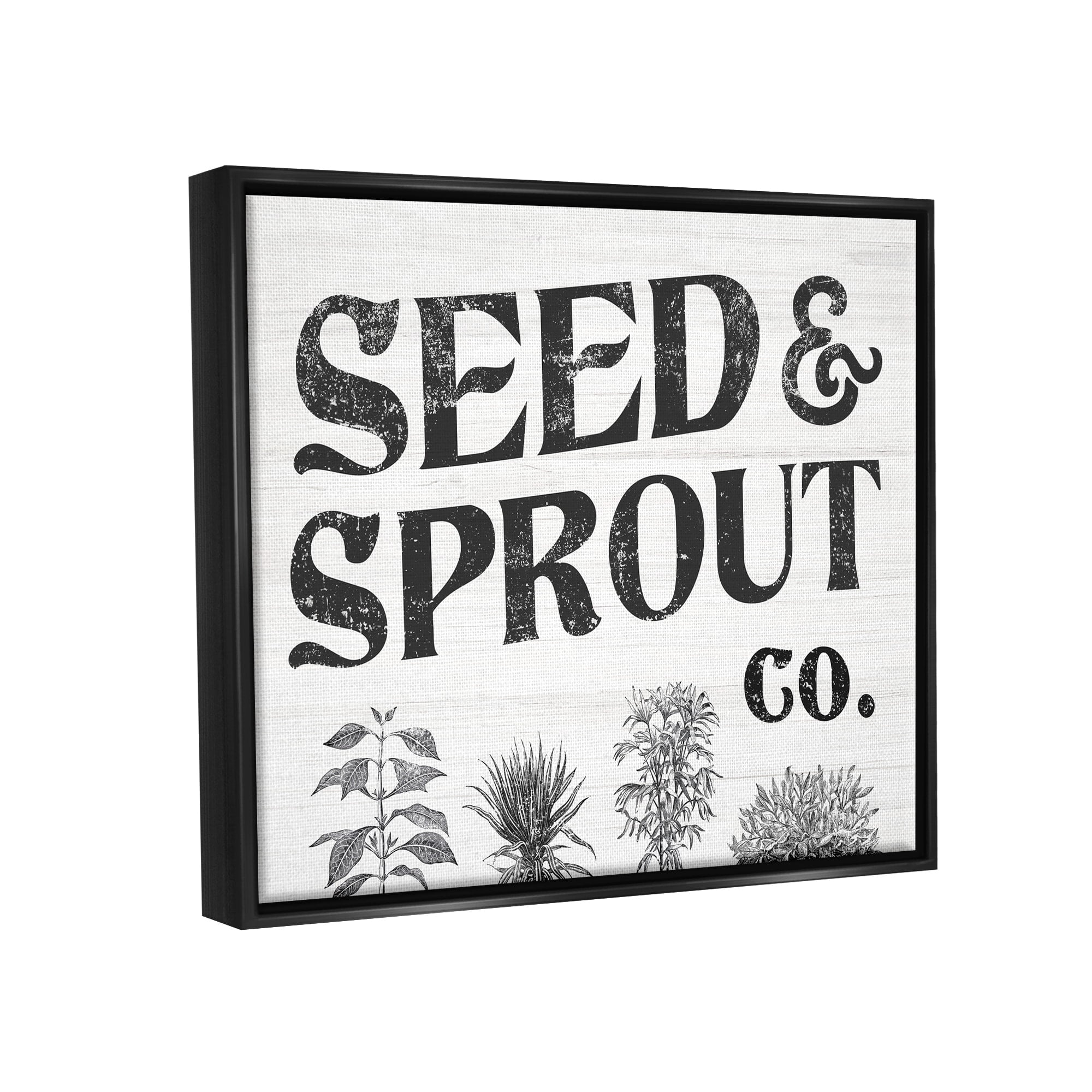 Stupell Industries Seed & Sprout Antique Botanicals Gardening Typography Graphic Art Jet Black Floating Framed Canvas Print Wall Art, Design by Daphne Polselli