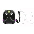 thumbnail image 6 of Reflective Dog Harness with Leash Set Breathable Pet Vest for Puppy Outdoor Walking Training and Easy Control, 6 of 9