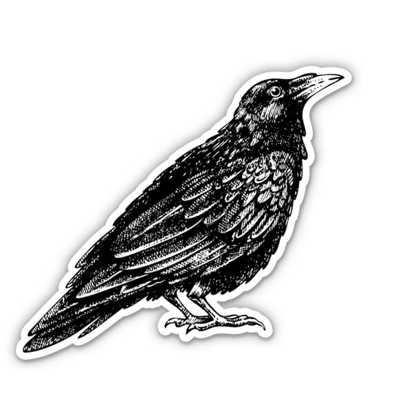 Black Raven - 3" Vinyl Sticker - For Car Laptop Water Bottle Phone - Waterproof Decal