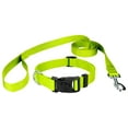 thumbnail image 5 of Country Brook Petz® Hot Yellow Everyday Nylon Dog Collar and Leash, Extra Large, 5 of 7
