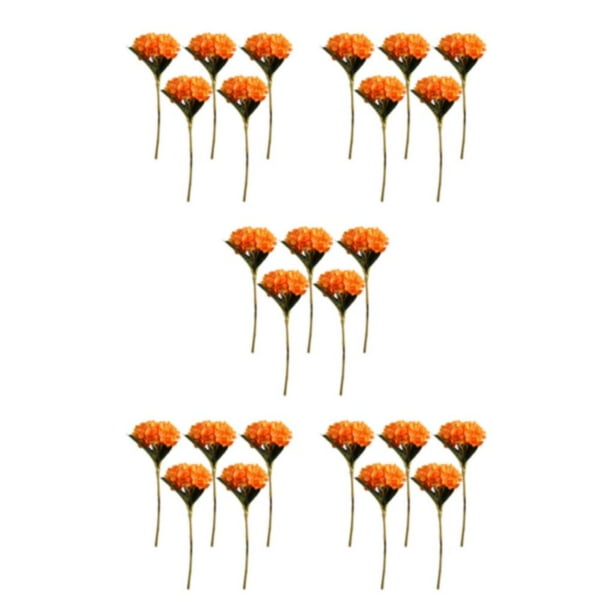 Wosthever 5x Exquisito Ramo Artesanal No Tóxico - Hecho A Mano Para Ocasiones Especiales No Tóxico Para Perros Y Gatos Naranja Type2 NO2