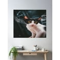 thumbnail image 2 of Black And White Cat Poster Wall Art, Modern Wall Decor, 8x12 UNFRAMED, 2 of 3