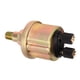 thumbnail image 1 of Sensor De Presión De Aceite 1/8NPT, Doble Cabezal, Resistente, Preciso, Mate, 0-10 Bar, Generador Diésel, Sensor De Presión De Aceite, aleación De Aluminio Para Fábrica, 1 of 7