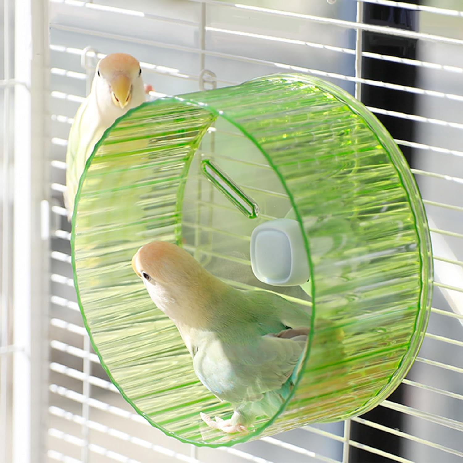 17cm Parrot Silent Running Wheel, Parrot Exercise Wheel, Birds, Parrots, Turtles, Hamsters, Small Animal Quiet Running Wheel (Green)