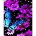 thumbnail image 1 of Wdftyju Kits de pintura de diamante 5D DIY mariposa arte de pared de taladro redondo completo (NH1927) Wdftyju 6hq9ww6ps8le8sk4D02, 1 of 8