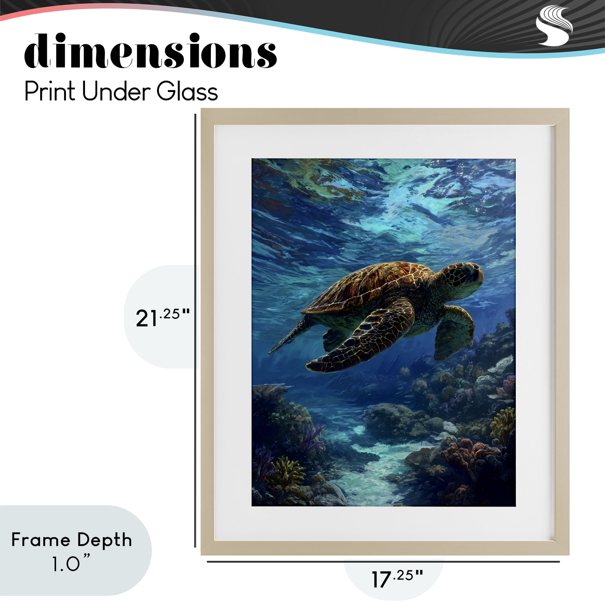 Stupell Industries Oceanic Adventurer Tortoise Birch Framed Print Under Glass, design by Franklyn Gregory