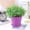 Purple, variant on Long Open Flowerpot Resin Flowerpot Balcony Large Rose Pot Pot Succulent Flowerpot Flower Pots Home Decor Happy 2026!