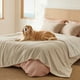 thumbnail image 1 of Manta impermeable para cama, forro polar sherpa, tamaño queen, 1 of 8