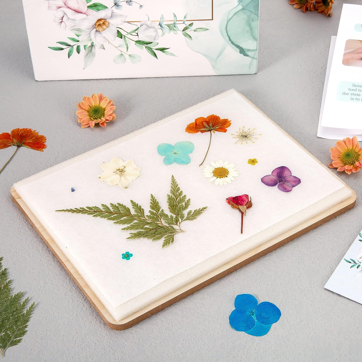Flower Press, 12x8 inches Flower Press Kit for Adults and Kids- Leaf Press,  Flower Pressing kit for Adults, 5 Layers Nature Press Kit, Great for