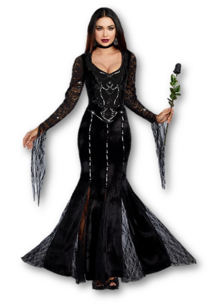 Dreamgirl Frightfully Beautiful Morticia Addams Black Velvet Gown ...