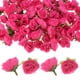 thumbnail image 1 of Uxcell 50 Paquete de Cabezas de Rosas Artificiales 1.2'' Pequeñas Cabezas de Rosa de Seda Falsa para Decoraciones de Ramo de Boda Fiesta Rojo Rosa, 1 of 7
