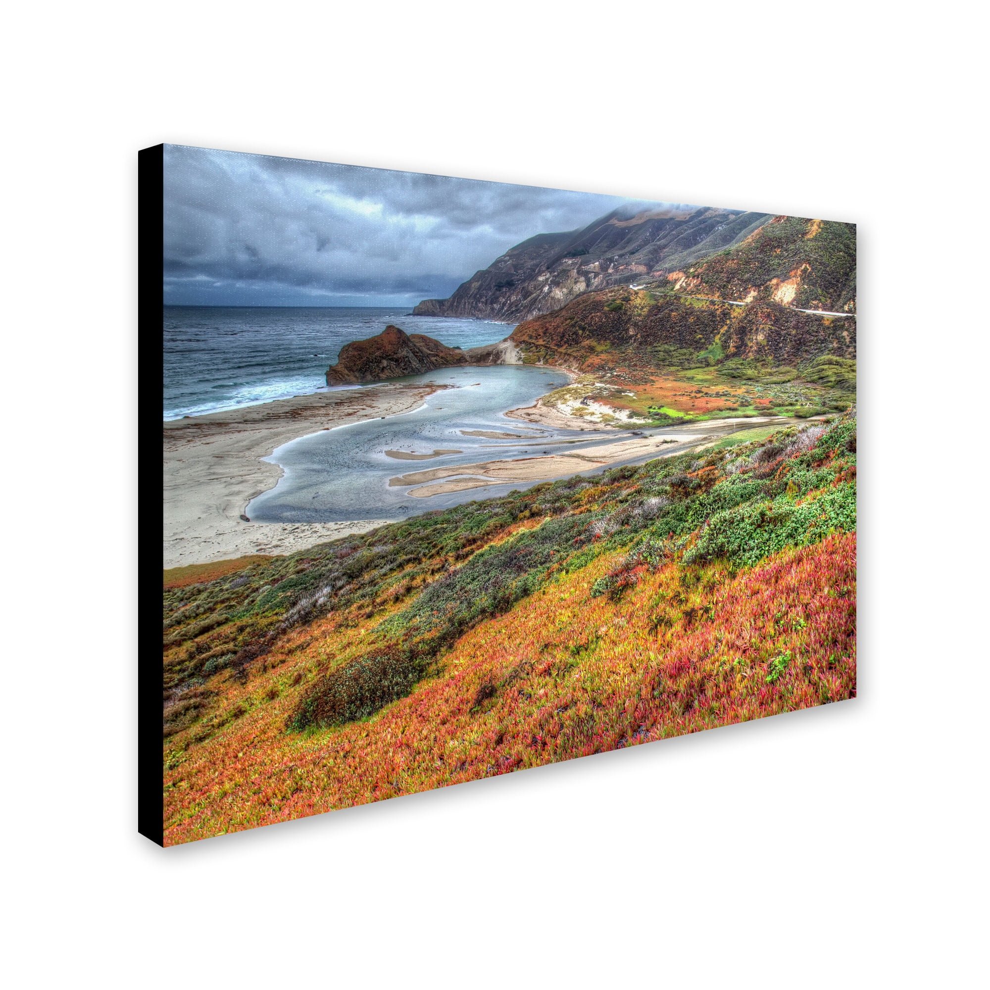 Trademark Fine Art "Bigsur California" Canvas Art by Pierre Leclerc