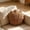 Multilor-A/A, variant on Nautical Shaped Throw Pillow Knit Fabric Fish Seashell Starfish Cushion Coastal Ocean Themed Decor for Sofa Bed Beach House Decoration