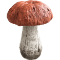 thumbnail image 6 of GT Direct Corporation 15" Mushroom Garden Statue, 6 of 9