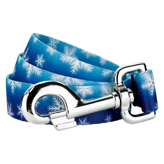 Country Brook Petz® 3/4 inch Winter Wonderland Dog Leash - 4 Foot