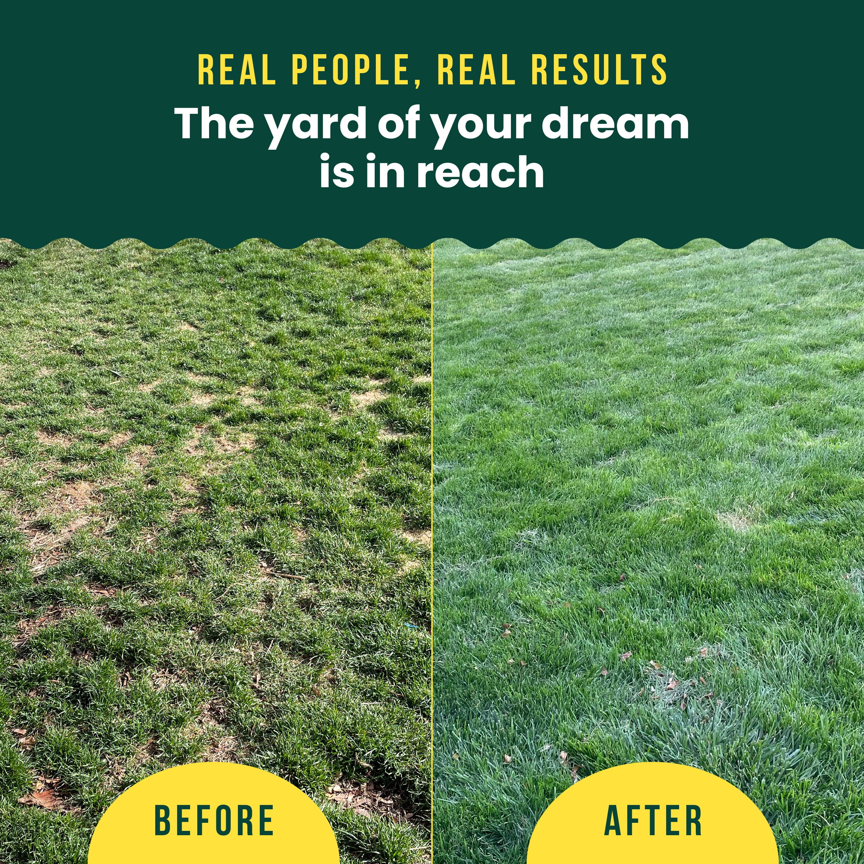 Sunday Lawn Kickstart Premium Granular Lawn Fertilizer 4,000 sq ft, 12lbs