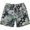 thumbnail image 1 of Quiksilver Seasalt Volley - Bañador para hombre, color gris, mediano, 1 of 2