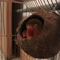 thumbnail image 5 of Natural Coconut Hamster Hideaway, Bird and Small Animal Toy, 5 of 7