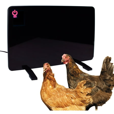 Cozy Coop Chicken Heater