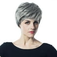thumbnail image 1 of Pelucas sintéticas cortas de peinado fresco pulgadas, peluca de Cosplay en capas esponjosas naturales para mujer, gris y shamjiam Pelucas Naturales De Cabello Completo, 1 of 9