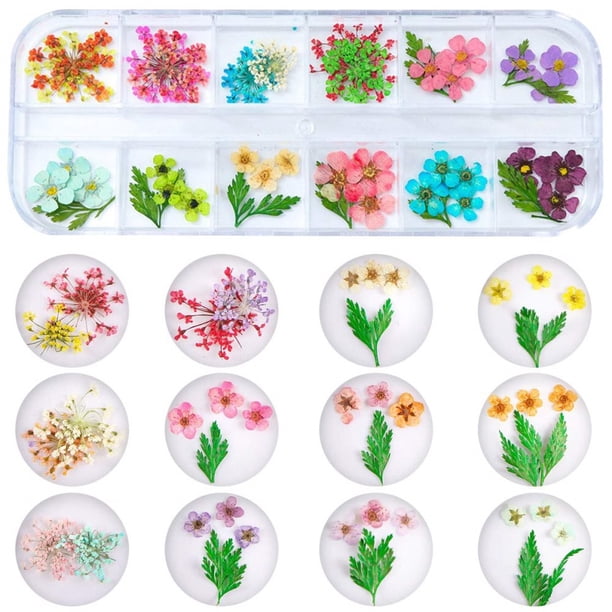 50 Mini Fleurs En Résine – 7 Mm – Multicolores – Décoration Pour Jardin Féerique, Maison De Poupée, Nail Art Et Micro-paysages