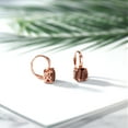 thumbnail image 4 of Gem Stone King 4.00 Ct Cushion Red Tiger Eye 18K Rose Gold Plated Silver Earrings, 4 of 4