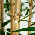 thumbnail image 4 of Nearly Natural 11ft. Artificial Bamboo Tree with Real Bamboo Trunks, 4 of 7