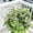 B-Silver, variant on Sturdy Garden Support Ring for Vines and Climbing â Natural Flexible Adjustable Growth Support, Peony Tomato Trellis, Cage for Flowers and Vegetables â Reusable, Easy Install (1PC)
