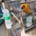 thumbnail image 4 of Lanzador automático para pájaros, suministros para jaulas de pájaros, accesorios para jaulas de pájaros, bebedero para pájaros, utensilios para loros, alimentador automático (2 piezas) Rojo Verde, 4 of 5