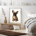 thumbnail image 6 of Diamond Art Kit for Adults, Brown French Bulldog Sitting Cute Diamond Painting for Adults Beginners, DIY Diamond Art Painting Kits, 5D Diamond Painting Crafts for Home Decor 12x16 Frameless, 6 of 7