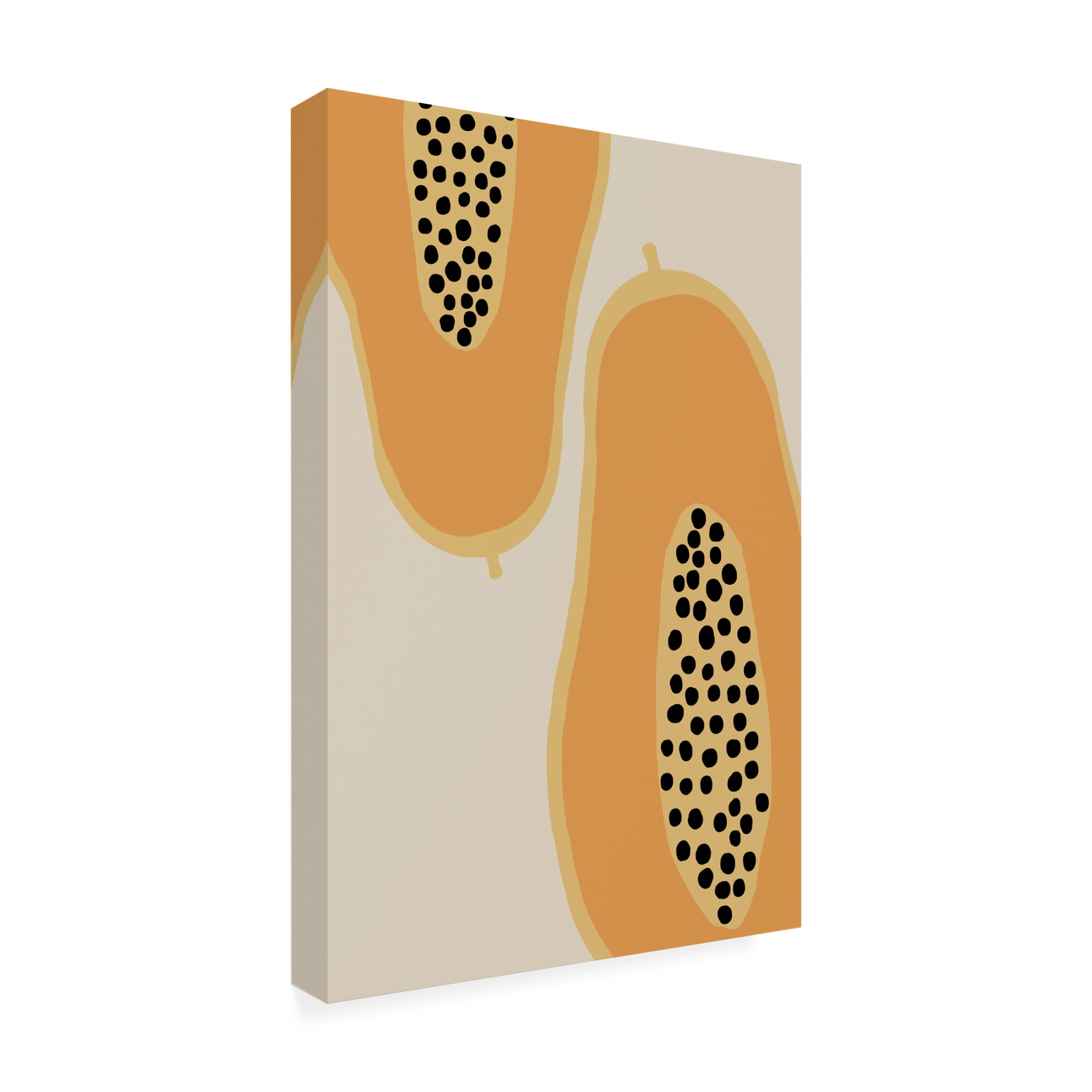 Canvas Wall Art - Pictufy Studio Ii 'Papaya Fruit' Wall Art for Living Room, Bedroom, or Office Décor by Trademark Fine Art - 16 x 24 Inches