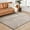 Beige, Charcoal / Allard, variant on Hauteloom Allard Living Room, Bedroom Machine Washable Area Rug - Contemporary - High Pile - Peach, Charcoal - 2' x 2'11"