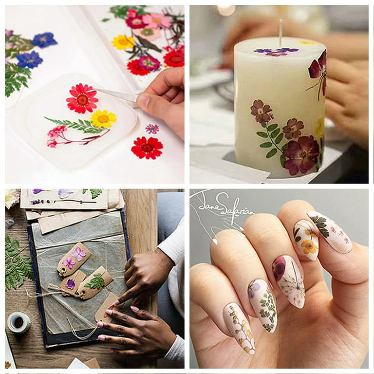 Buy Pressed Flower Nail Parts Set of 6 Dried Flower Nail Parts Nail Pressed  Flowers for Resin Flower Gel Nail Nail Art Decor Parts from Japan - Buy  authentic Plus exclusive items
