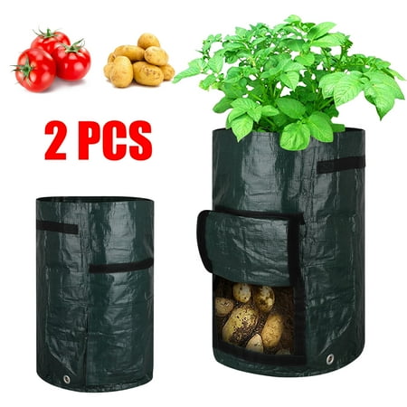 EEEkit Potato Grow Bag, 20 Gallon Garden Vegetables Planter Bags with Flap and Handles, Suitable for Potato, Carrot, Tomato, Onion- (Best Way To Grow Tomatoes)