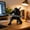 Black Ninja, variant on Ninja Pen Holder for Desk, Black Ninja Decor Pen Stand Pencil Holder Desk Accessories for Office Home Classroom